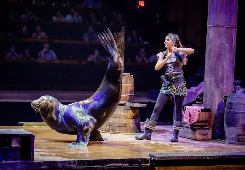 Salty the Sea Lion dancing on stage